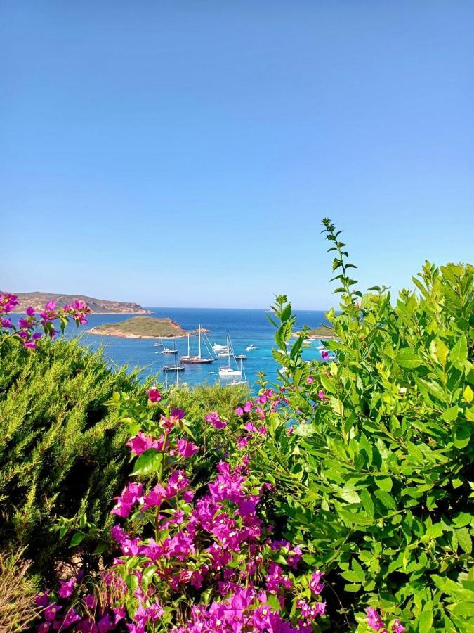 Appartement San Teodoro Punta Est Stupendo Trilocale Vista Mare à Cap Coda Cavallo Extérieur photo